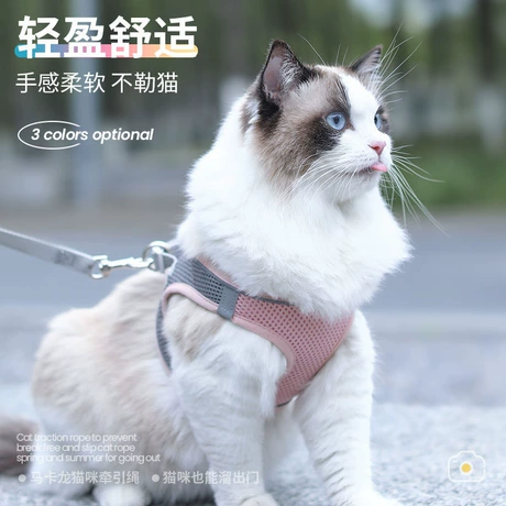Dog Leashes