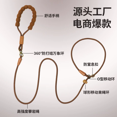Dog Leashes