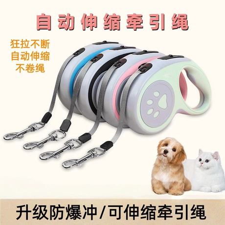Dog Leashes