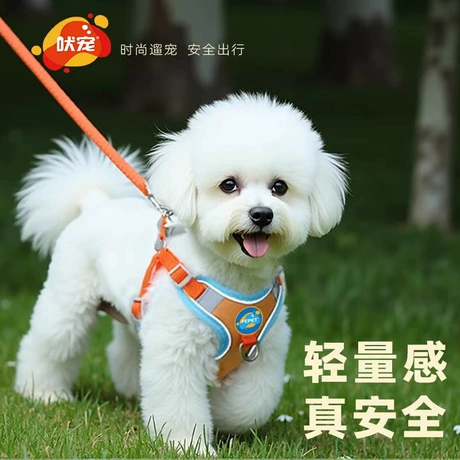 Dog Leashes