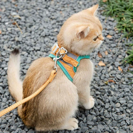 Dog Leashes