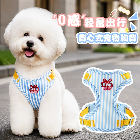 Dog Leashes