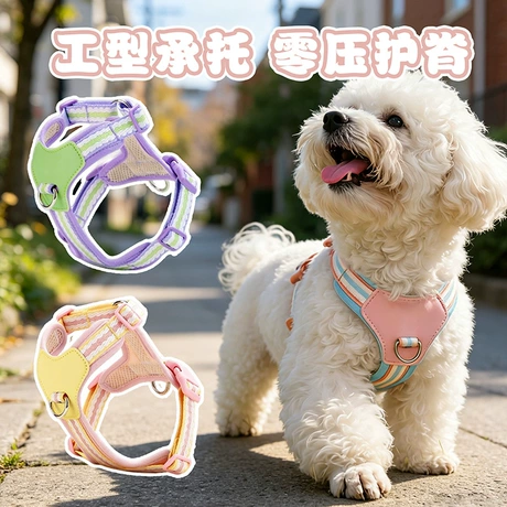 Dog Leashes