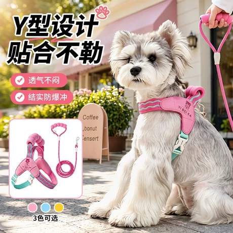Dog Leashes
