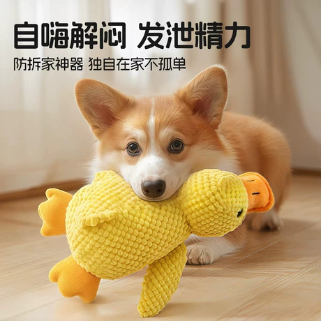 Pet Toys