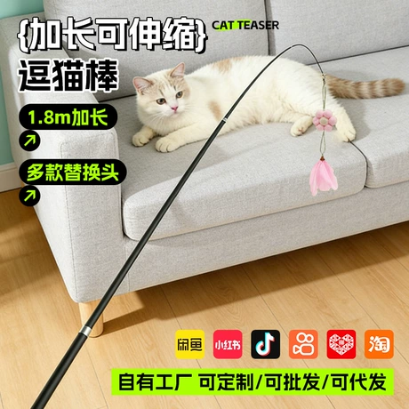 Pet Toys