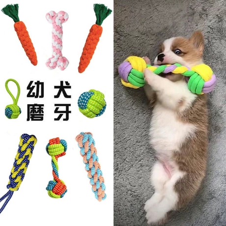 Pet Toys