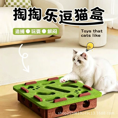Pet Toys
