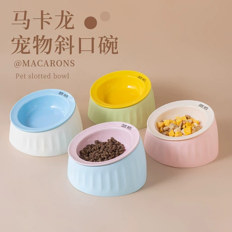 Pet Bowls & Feeders