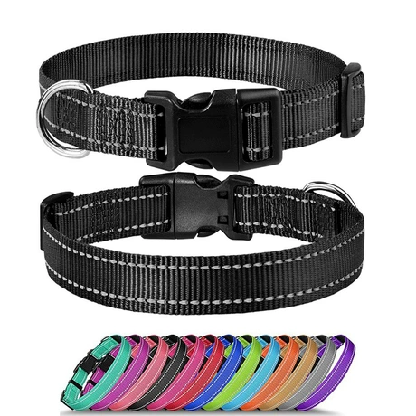 Pet Collars