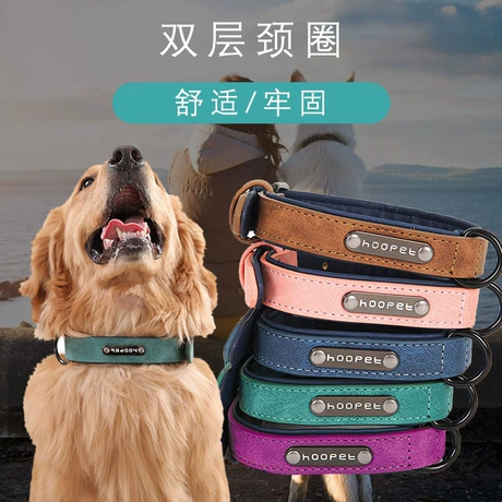 Pet Collars