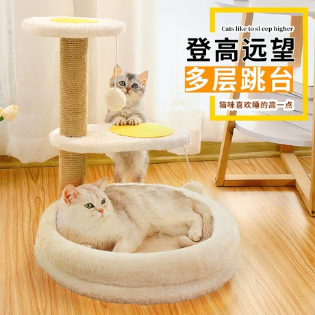 Cat Trees & Scratchers